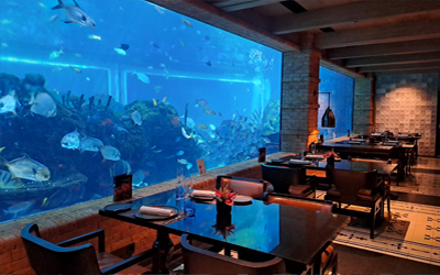 If all tunnel tables are fully booked, you can also dine in the restaurant adjecent to the acquarium. Still amazing views (but we prefer the tunnel!).